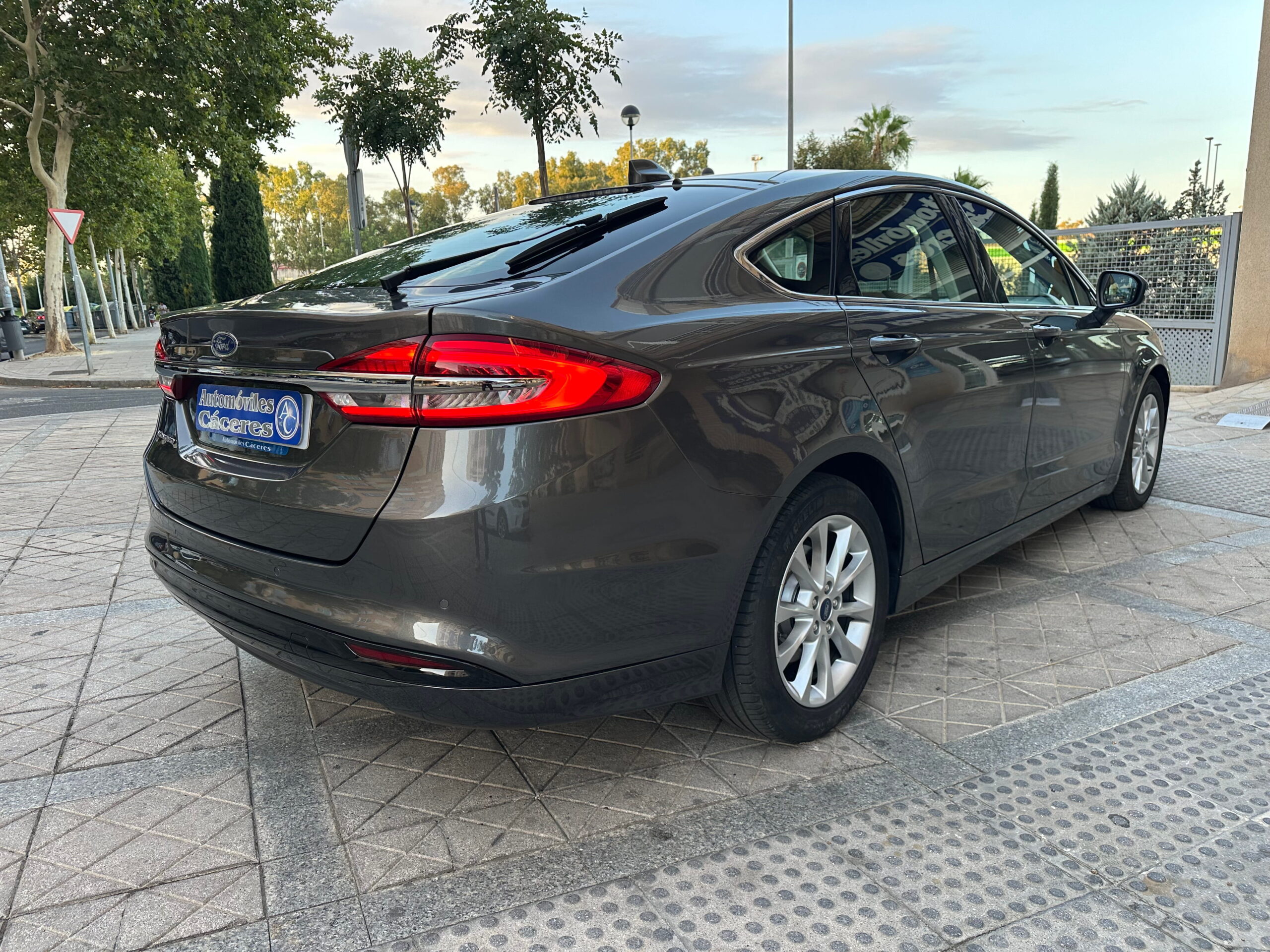 IMG_0784